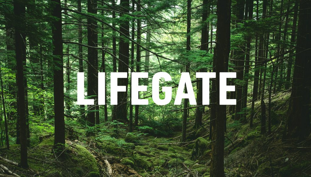 LifeGate